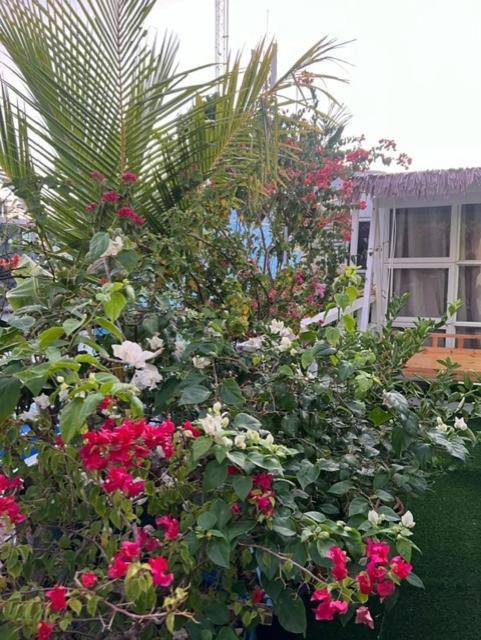 Rooftop Inn Μαλέ Εξωτερικό φωτογραφία